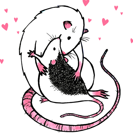 rat illustration