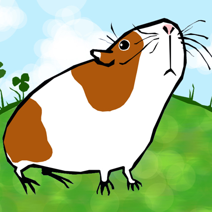 guinea pig illustration